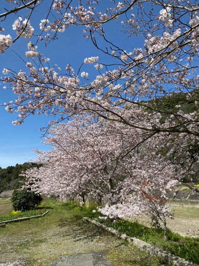 Yufuin Ryoan Wazanho Otel Oita Dış mekan fotoğraf
