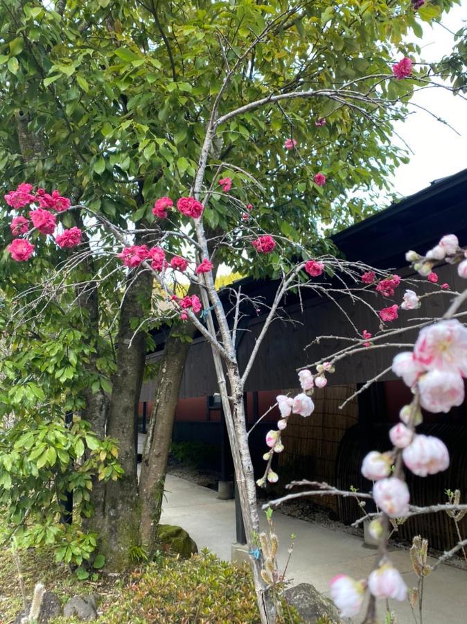 Yufuin Ryoan Wazanho Otel Oita Dış mekan fotoğraf